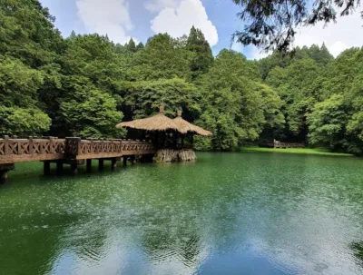 阿里山國家森林遊樂區